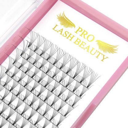  Pro Premade Volume Lash Fans✨ 6D D Curl 0.10 Thickness (12mm Short Stem) - Lash Tech Must-Have