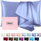 Silk Pillow Cases Mulberry Silk Pillow Cases Soft Breathable Both Sided Natural Silk Pillowcase with Zipper Beauty Sleep Silk Pillow Cases 1 Pc for Gift (Standard, Cornflower Blue)