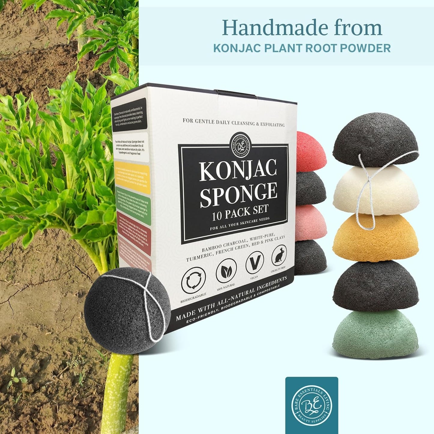 - Konjac Sponges Set (10 Pack) with Activated Bamboo Charcoal Facial Sponge, Natural Sponge, Great for Facial Sponges, Bath Sponge, Beauty Sponge, and Exfoliating Body Sponge